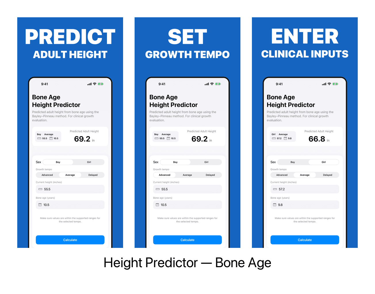 Height Predictor hero visual