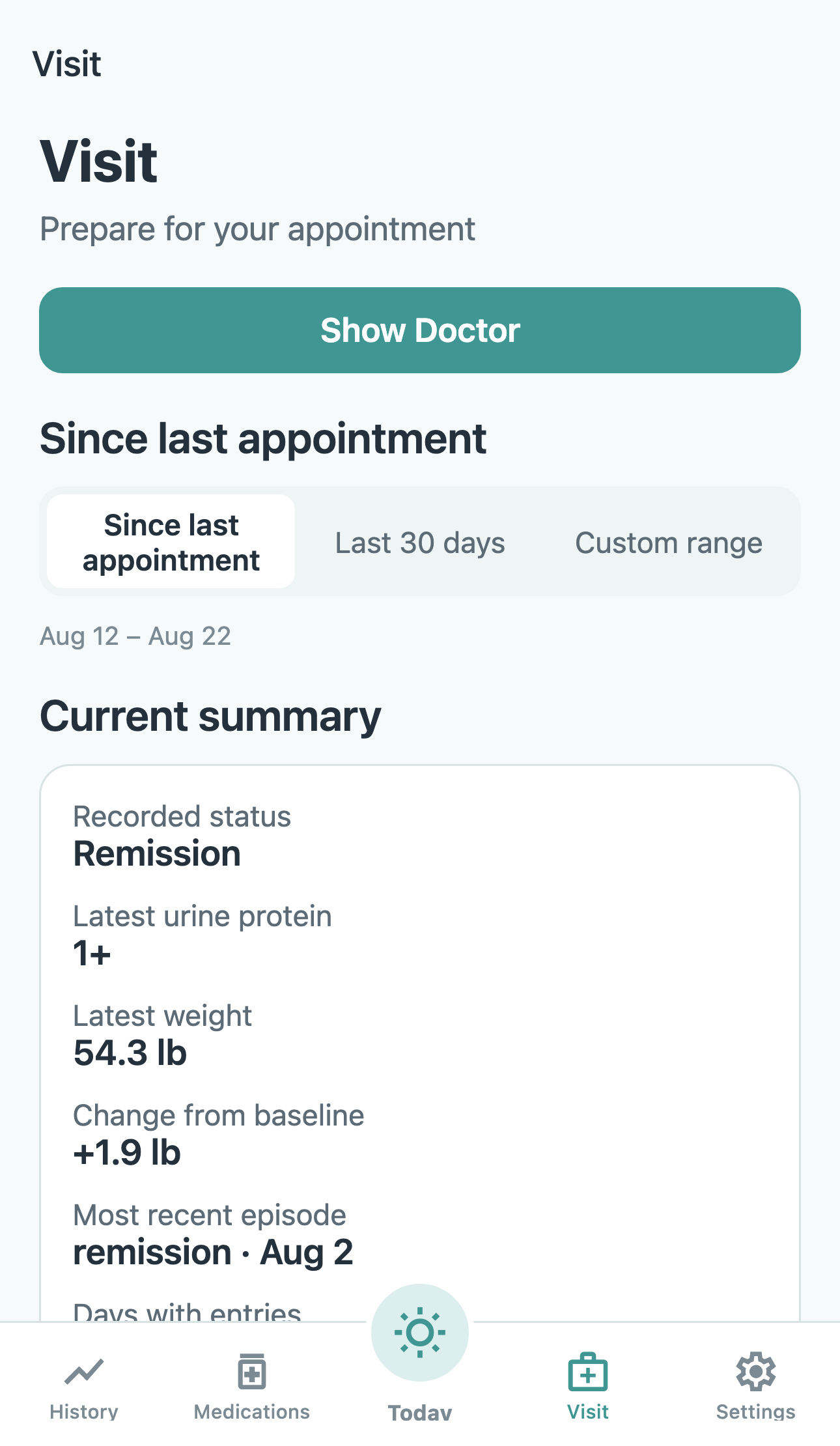 Visit Mode summary ready to show a care team